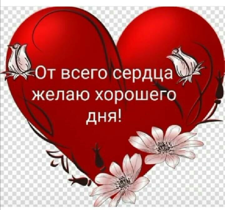 7 ОТ всего сердцёъ ЖЕЛЭЮ ХОРОШЕГО дня