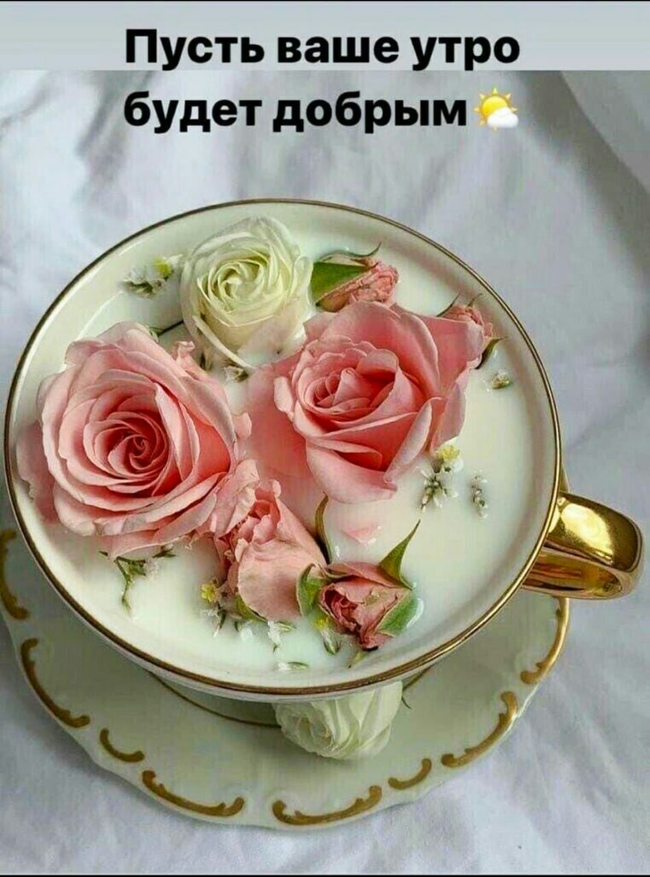 усть ваше утро 7 будет добрым