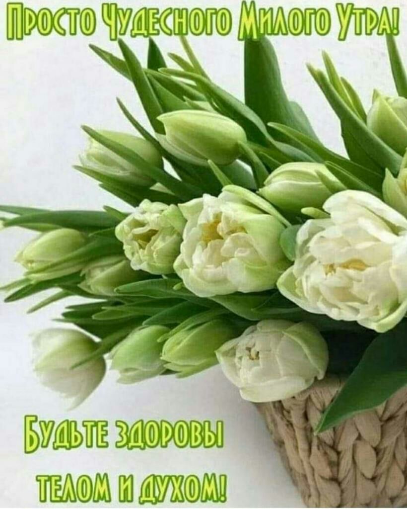 ш