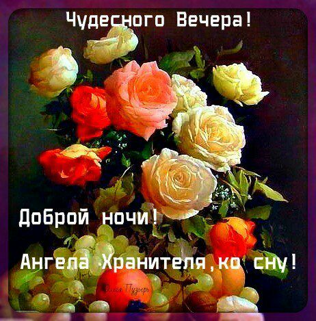 Чуда пго Вечера від доброй ночи Ё 11 _ к Ангеиджрінитфпмцд сну _а