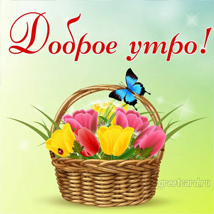 0 рее утро