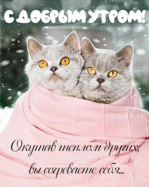 УКНИМ тт1071 дрим дм тягл ттт 7571