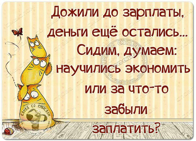 дожили до зарплаты деньги ещё остались Сидим думаем научились экономить ИПИ за ЦТОТО