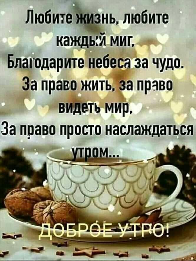 Любитень любите каждый миг Благодарите небеса за чудо За права жить за право видеть мир За права просто наслаждаться