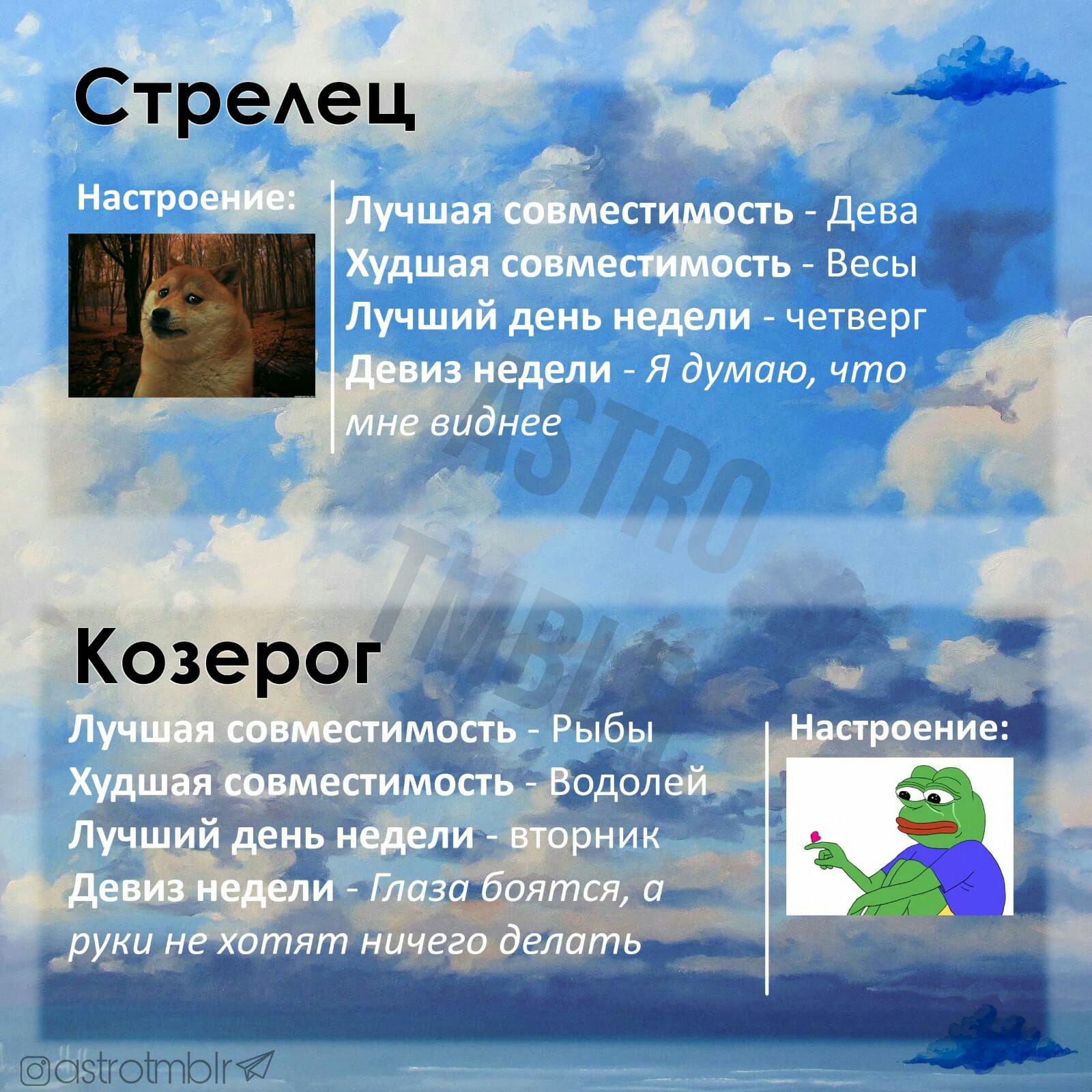 СтреАец Козерог стзтюптэтй7