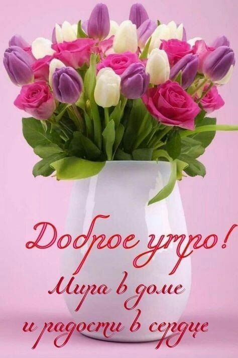 О даут г47235796130 15 68 Т