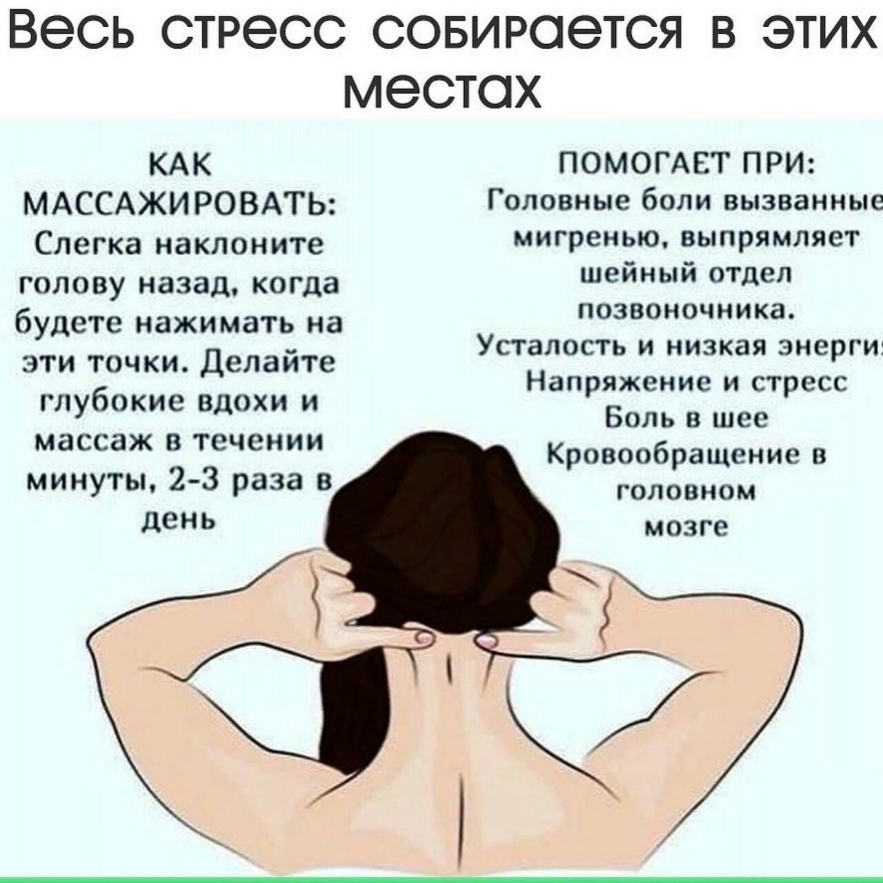 ВЭСЬ стресс СОБИРОеТСЯ В ЭТИХ местах КАК ПОМОГАЕТ ПРИ МАССАЖИРОВАТЬ Головные боли вызванные Слегка наклоните мигренью выпрямляет голову назад когда шейный оГдед ПОЗВОНОЧНИКЗ Усталость И низкая ЭНЕРГИі напряжение И СТРЕСС будете нажимать на эти точки Делайте глубокие вдохи и Боль в шее массаж в течении Кровообращение в минуты 2 3 раза в головном день мозге