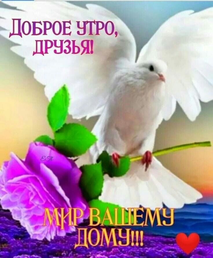 Доброе чтро, ч г