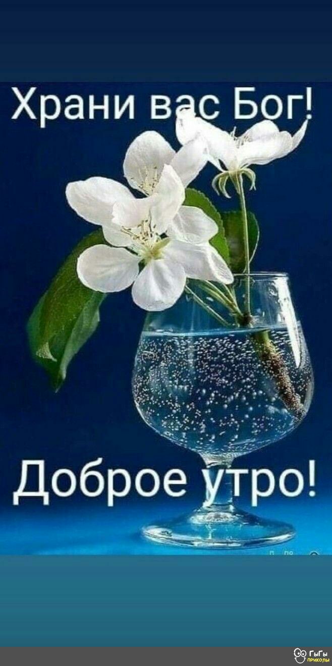 Храни в с Бог ДоброеЁЁрр 995
