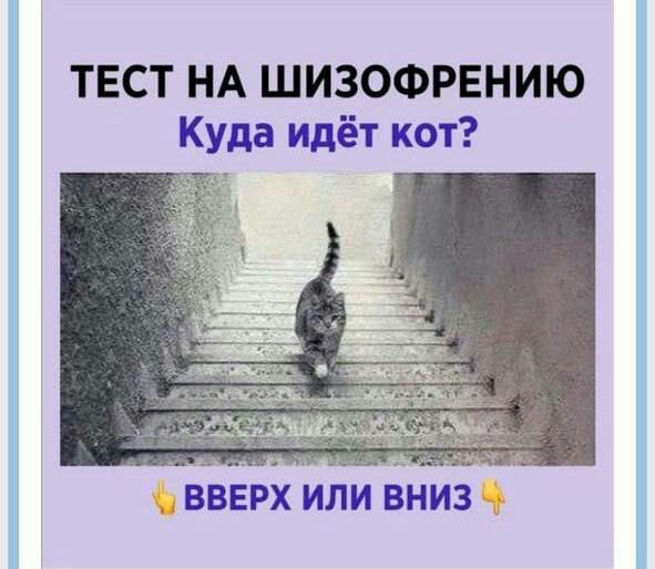 ТЕСТ НА ШИЗОФРЕНИЮ Куда идёт кот ВЪЕРХ или вниз