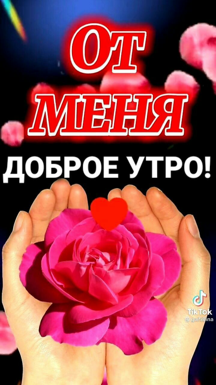 ШЁБ мня ДОБРОЕ УТРО