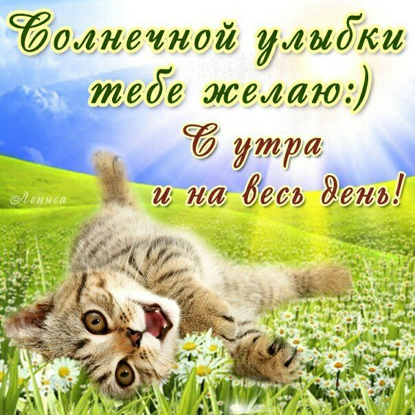 вдувтетей имяш желаю