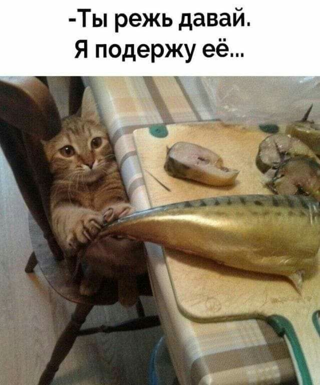 Ты режь давай Я подержу её