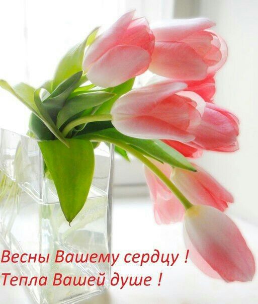 Весны вашему сердцу ! Тепла вашей душе !