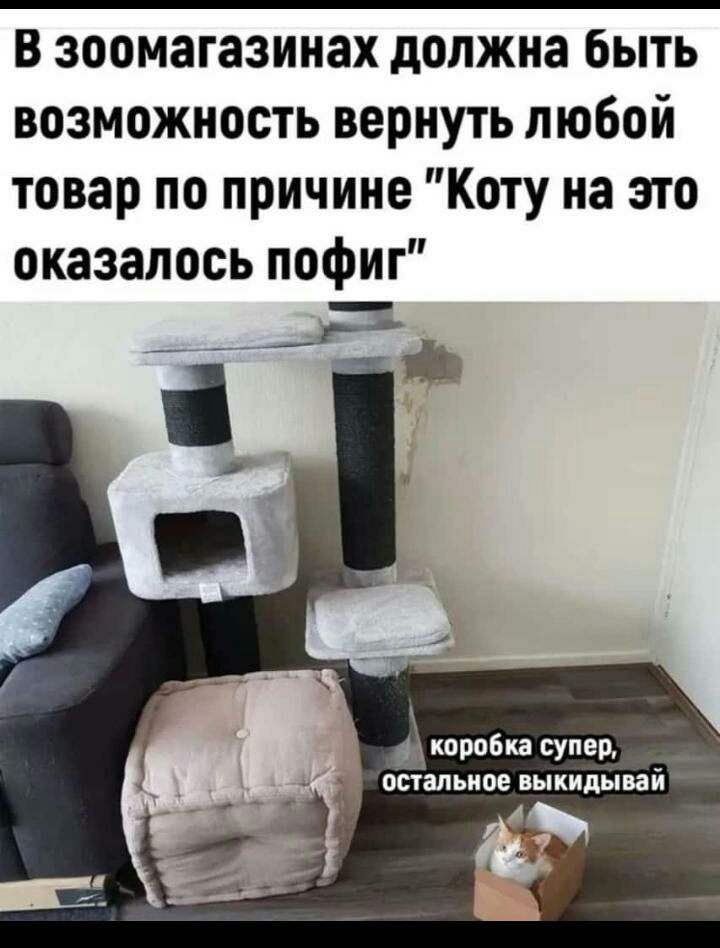 В зоомагазинах должна быть возможность вернуть любой товар по причине Коту на это оказалось пофиг коробка супер остальное выкидывай
