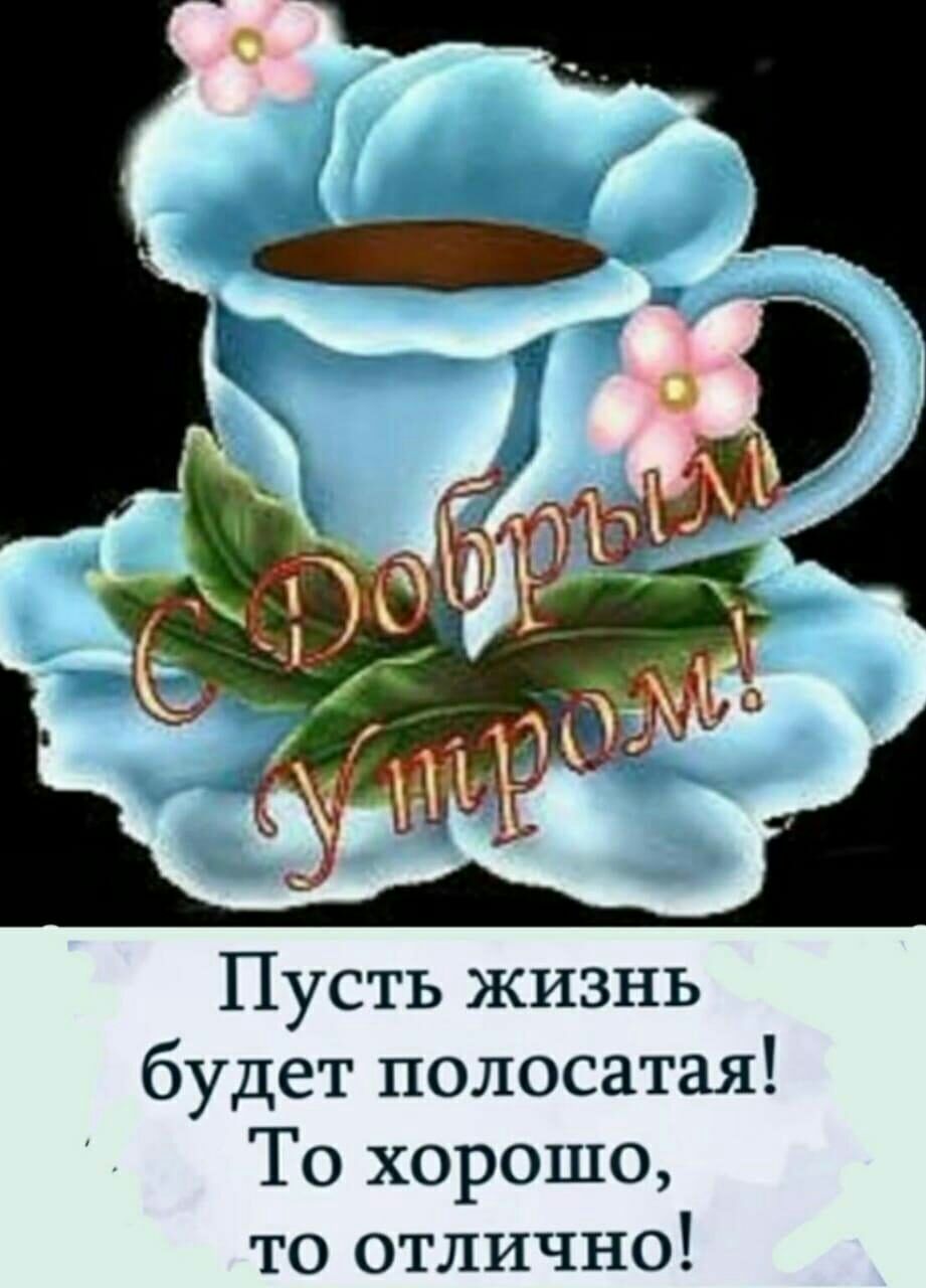 Пусть жизнь будет полосатая То хорошо то отлично