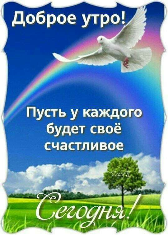 Ц _ Пить у іщішгэ аудит шиё счшггшшаз
