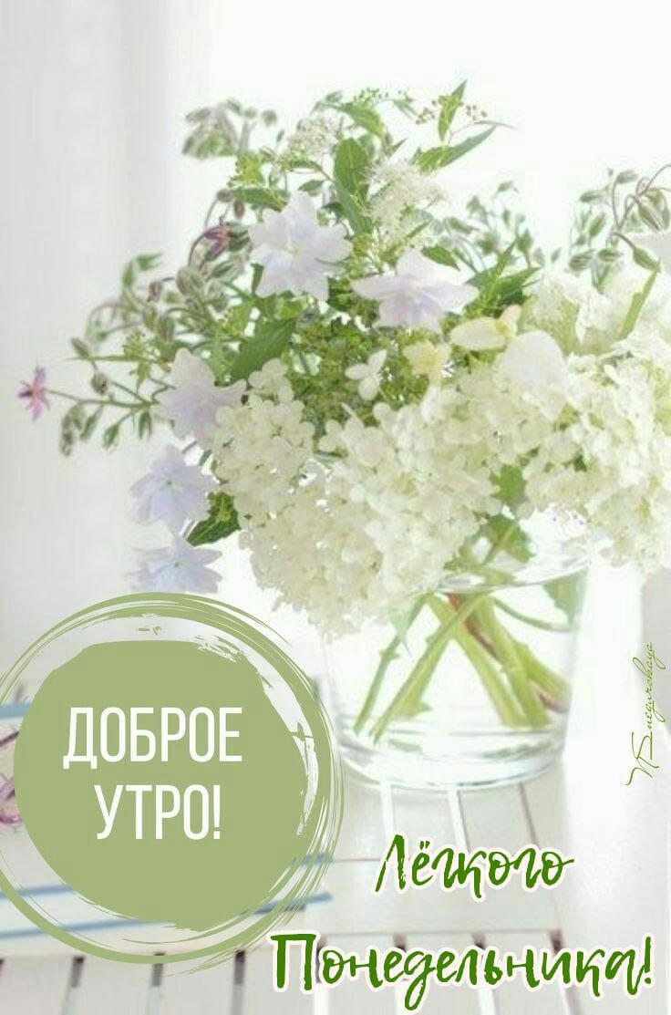 ДОБРОЕ утра