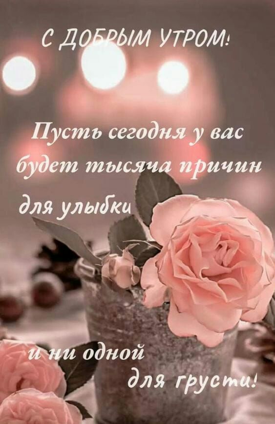 дной 5 для гдусЁ