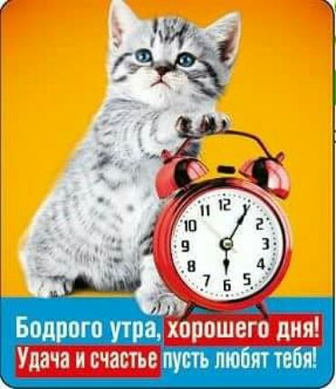 Бодрого утра хорошего дия Удача и счастье пусть любят тебя
