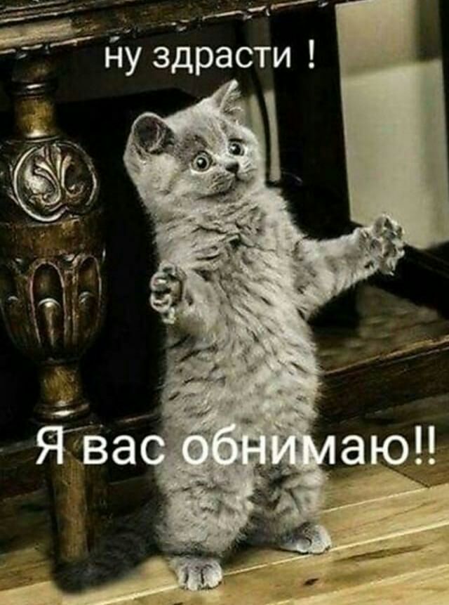_ 3 _Г ду Здрасти