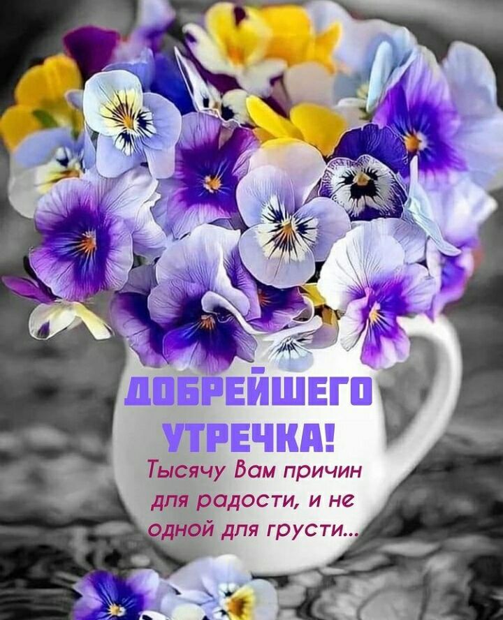 Тьісячу дам причин для_ радости и не д ой дпя грусти