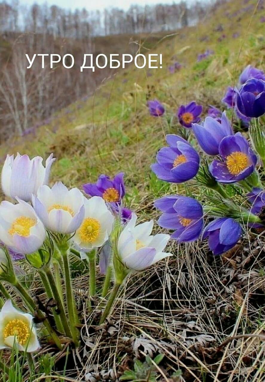УЪРО ДоБРЬЕ Ты _ А в ц