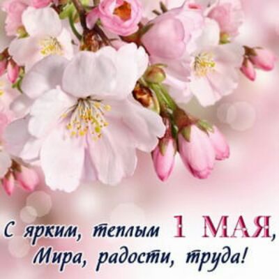 С ярким Лемма 1 МАЯ Мира радати труда