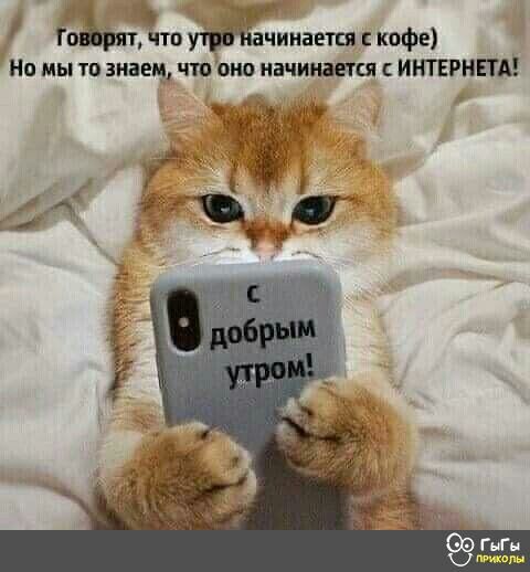ЪПЁТП ииается кофе Но мы то знаем что то иачиижся ИНТЕРНЕТА