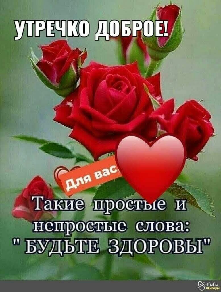 до _ _т
