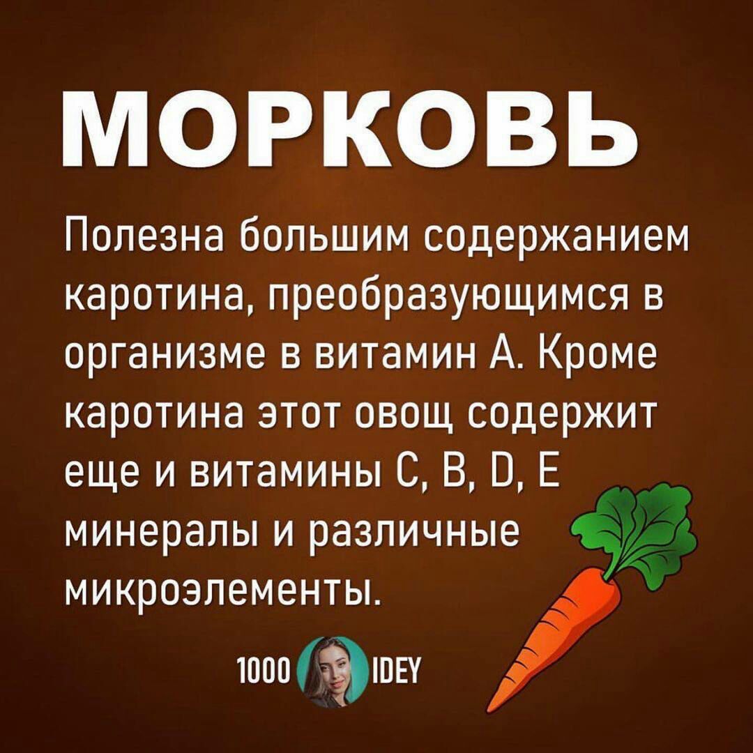 МОРКОВЬ Полезна большим содержанием каротина преобразующимся в организме в витамин А Кроме каротина этот овощ содержит еще и витамины С В В Е минералы и различные микроэлементы ШИЭШЕУ