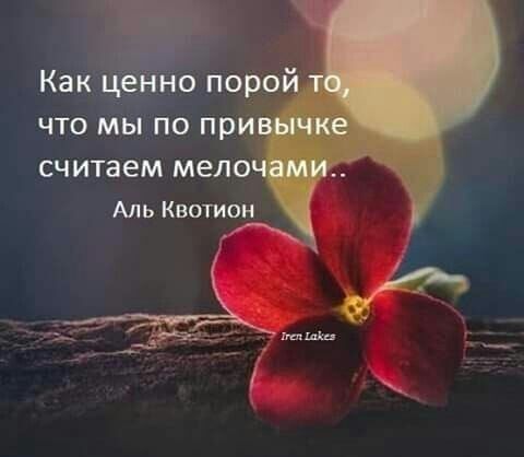 считаем мело Аль Квотион