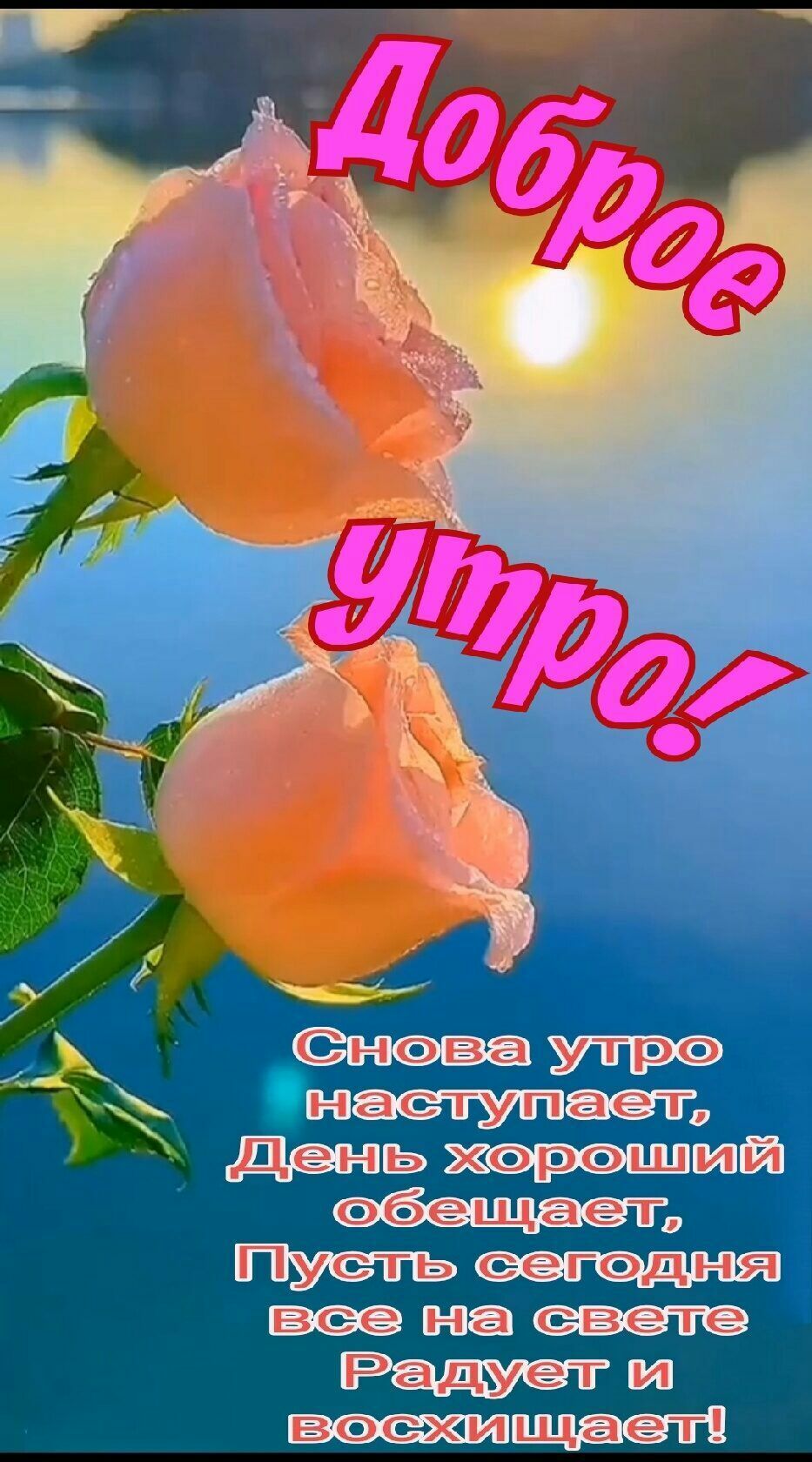 тэнступает дос 0 юга И щьёэ