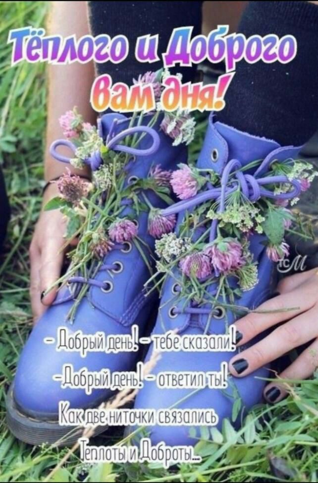 Т3п пафилия