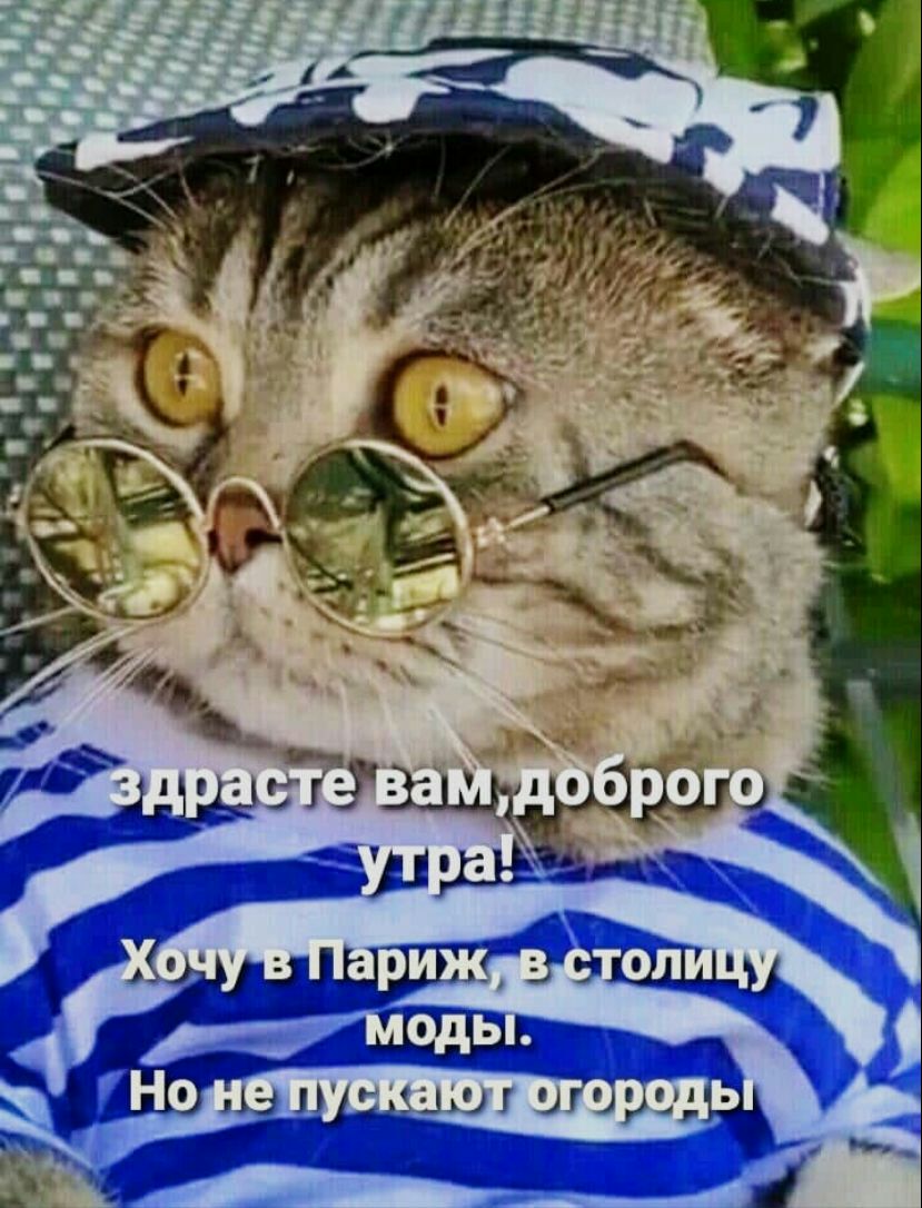 д ОЛ 7 Одь Но Ь _ А