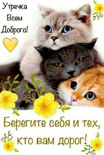 Ёерегите себя и тех кто вам дорог