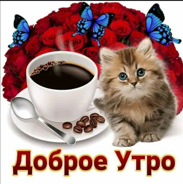 доброе Утро