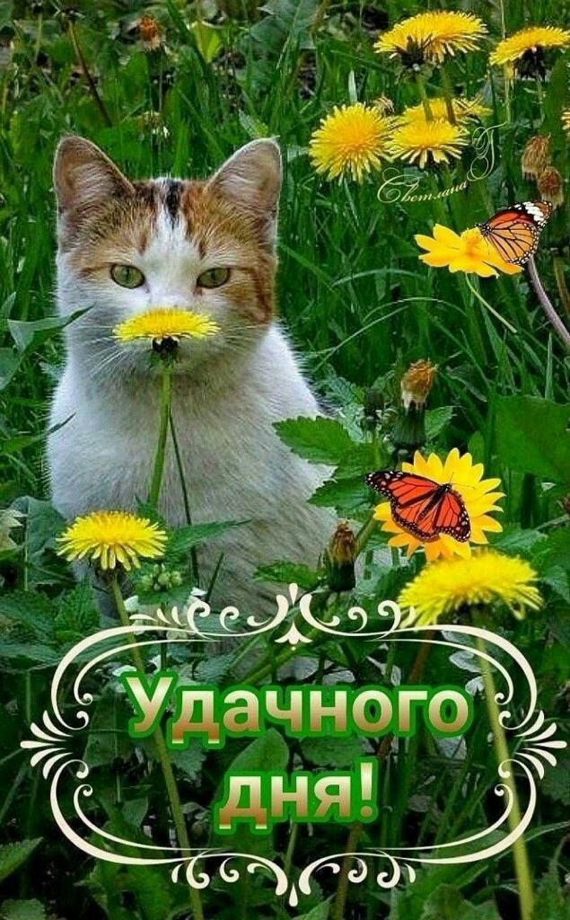 ть _ Удачного