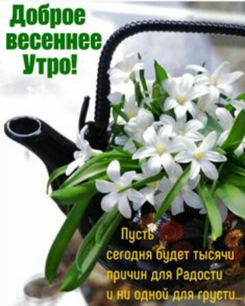 доброе весеннее Пешт сегодня быдех гысячи Шприц для Радости и ни одноц для кристи