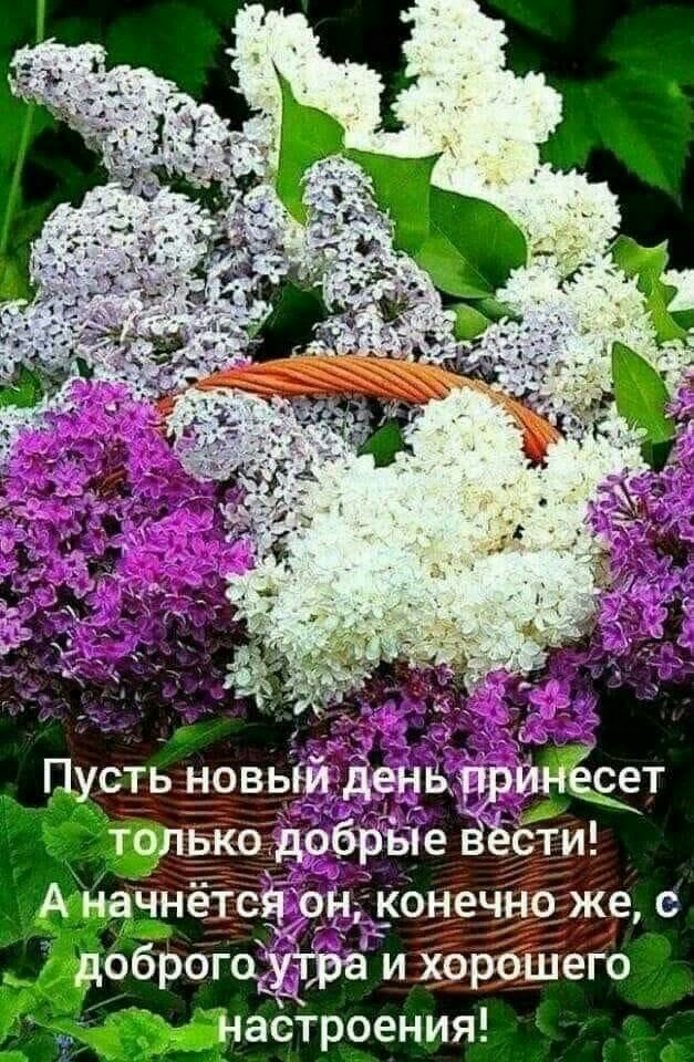 сть новый день т ько добрые Ёёсти чнётся он конечно же с