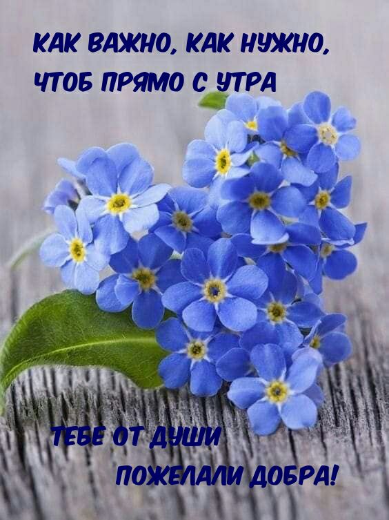КАК ВАЖНО КАК 0 ЧТОБ ПРЯМО ЧТРД А и