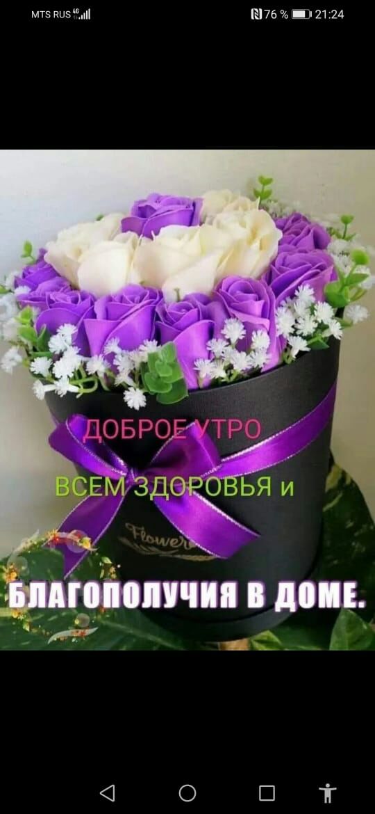 мтз раз 176 П 21 24