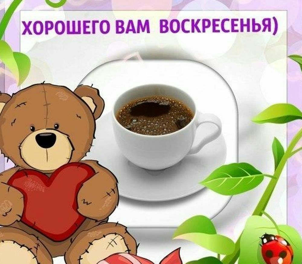 хорошего вдм воскресенью _
