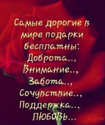 Самые дорогие в мире подарки бесплатны Доброта Внимание Забота Сочувствие Подде ко