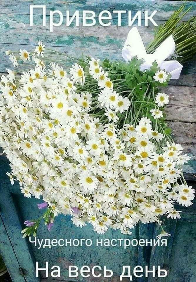 Чудесного настроенйЁ На весь день