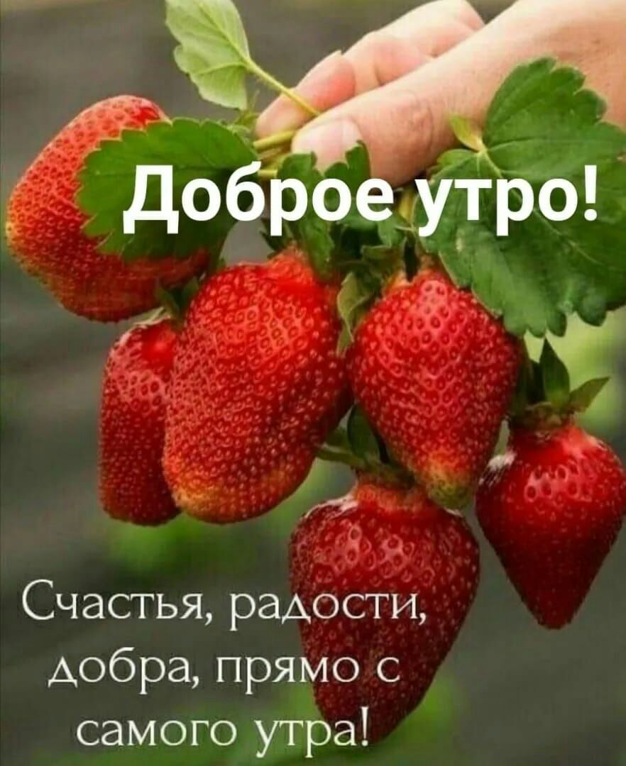 Счастья радости добра прямо с самого мфа