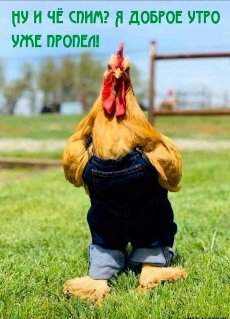 УИЧЁ ПИМ Я ДОБРОЕ УТРО УМКЕ ПРОПЕ ё__