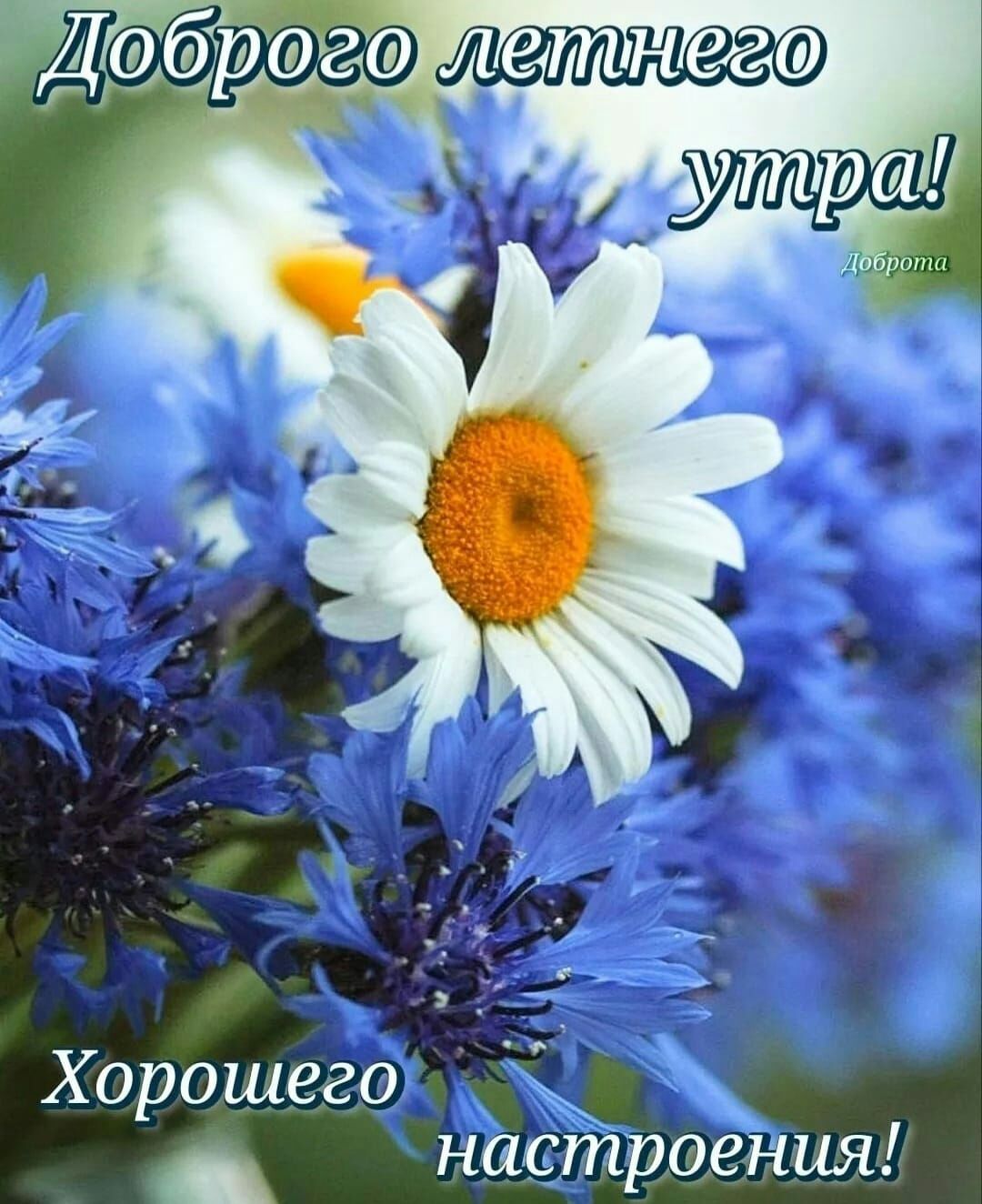 Хорошего _ настроения