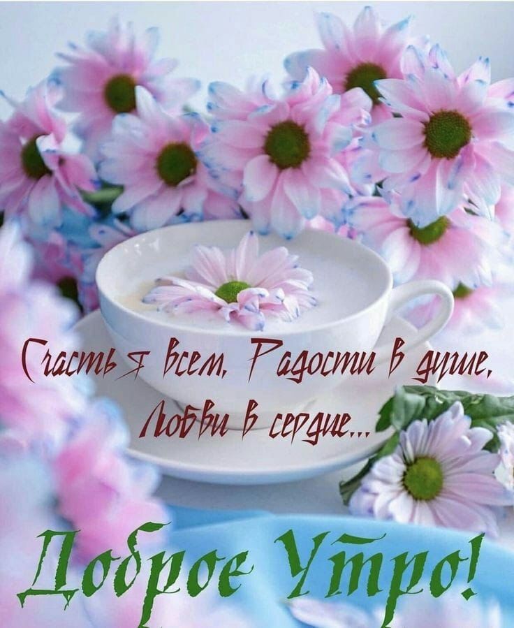 и Сити идии Ришш дми тм Ч _ 91 Даб Уйра