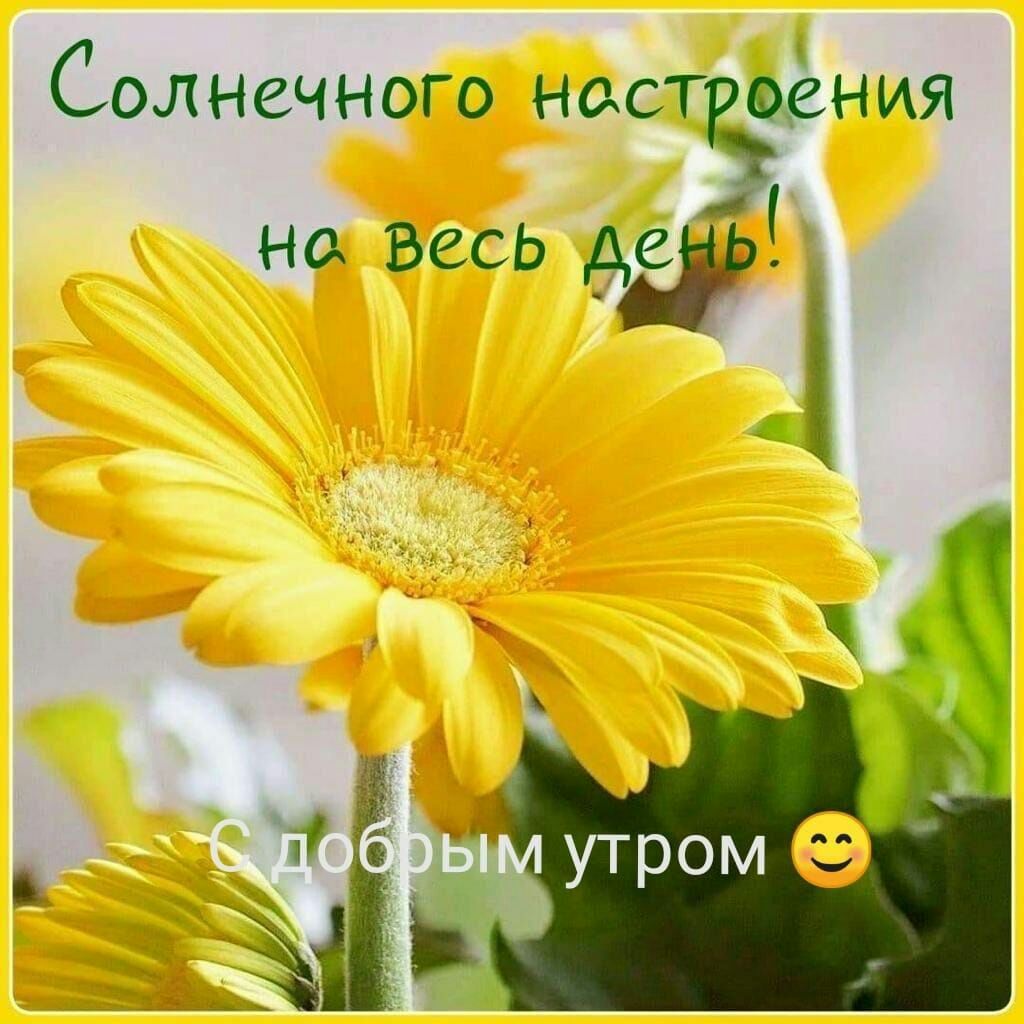Солнечного нос г оёния На ВССЬ Аэ
